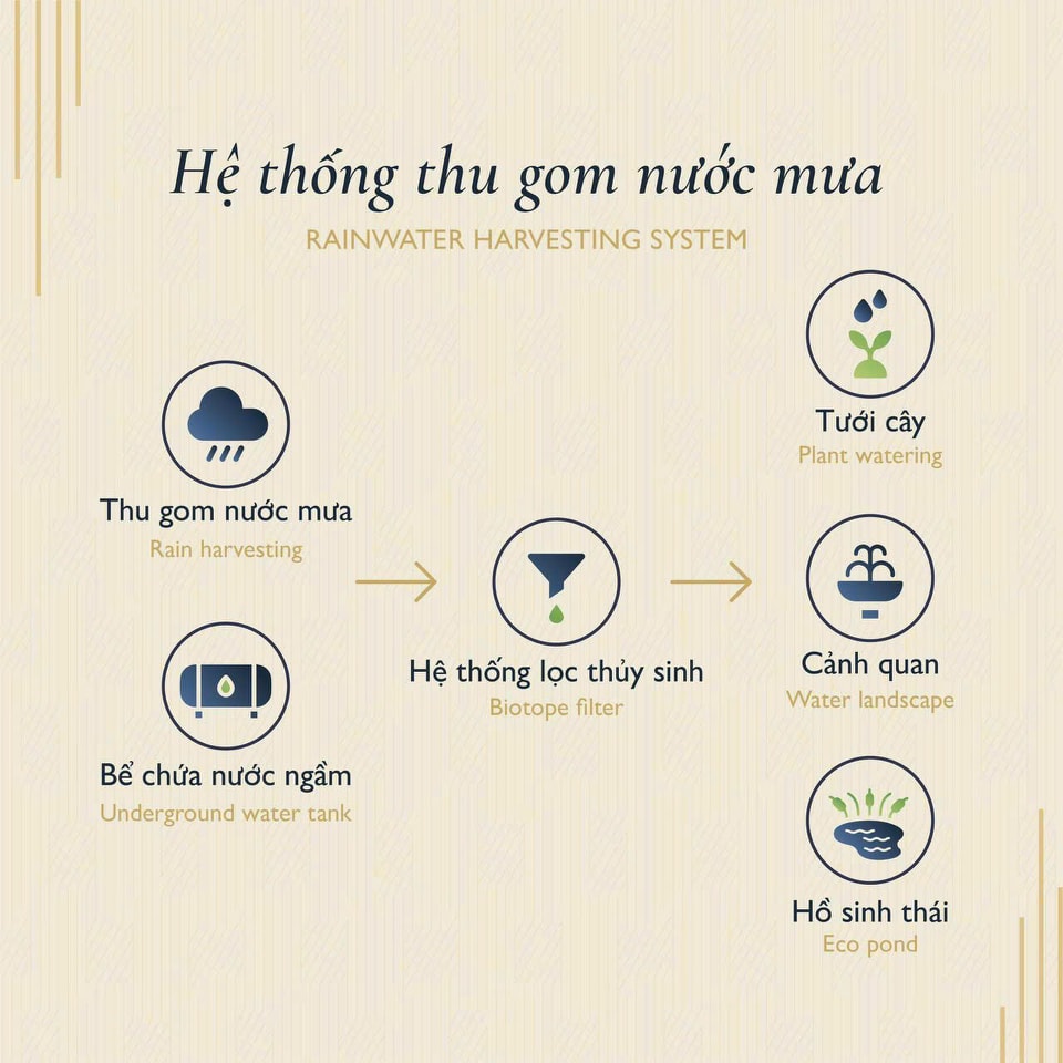 Quy trình thu gom nước mưa